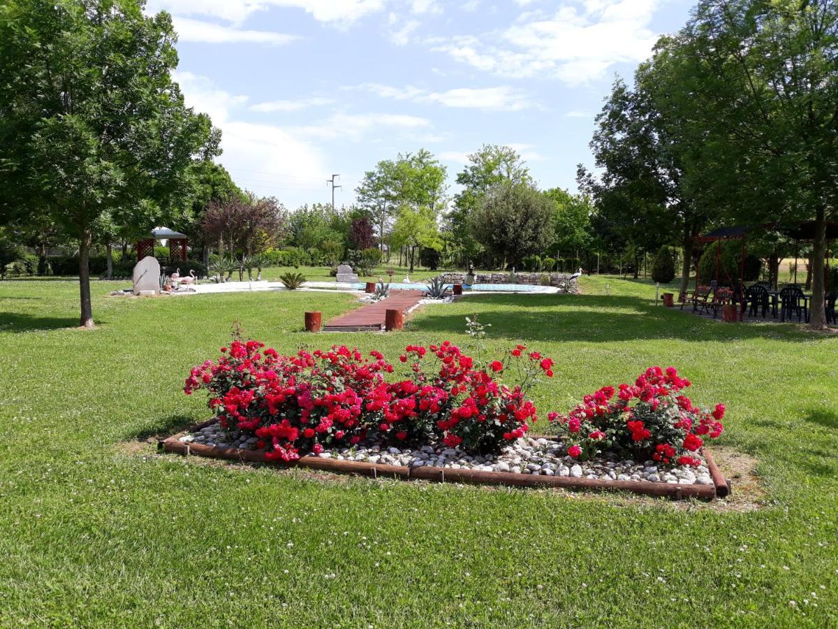 Trivignano Udinese Dogana Vecchia - Hotel & Residence B&B Ristorante & Pizzeria מראה חיצוני תמונה
